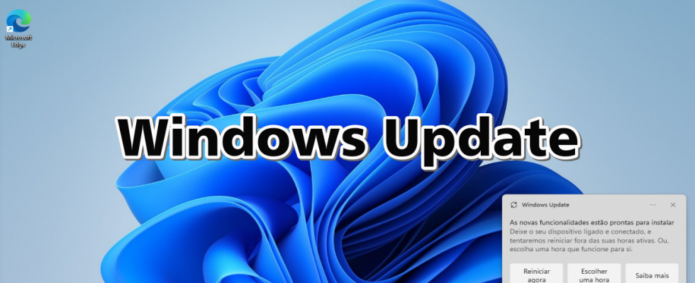 Windows 11 - Windows Update