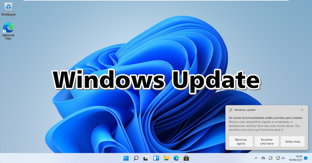 Windows 11 - Windows Update