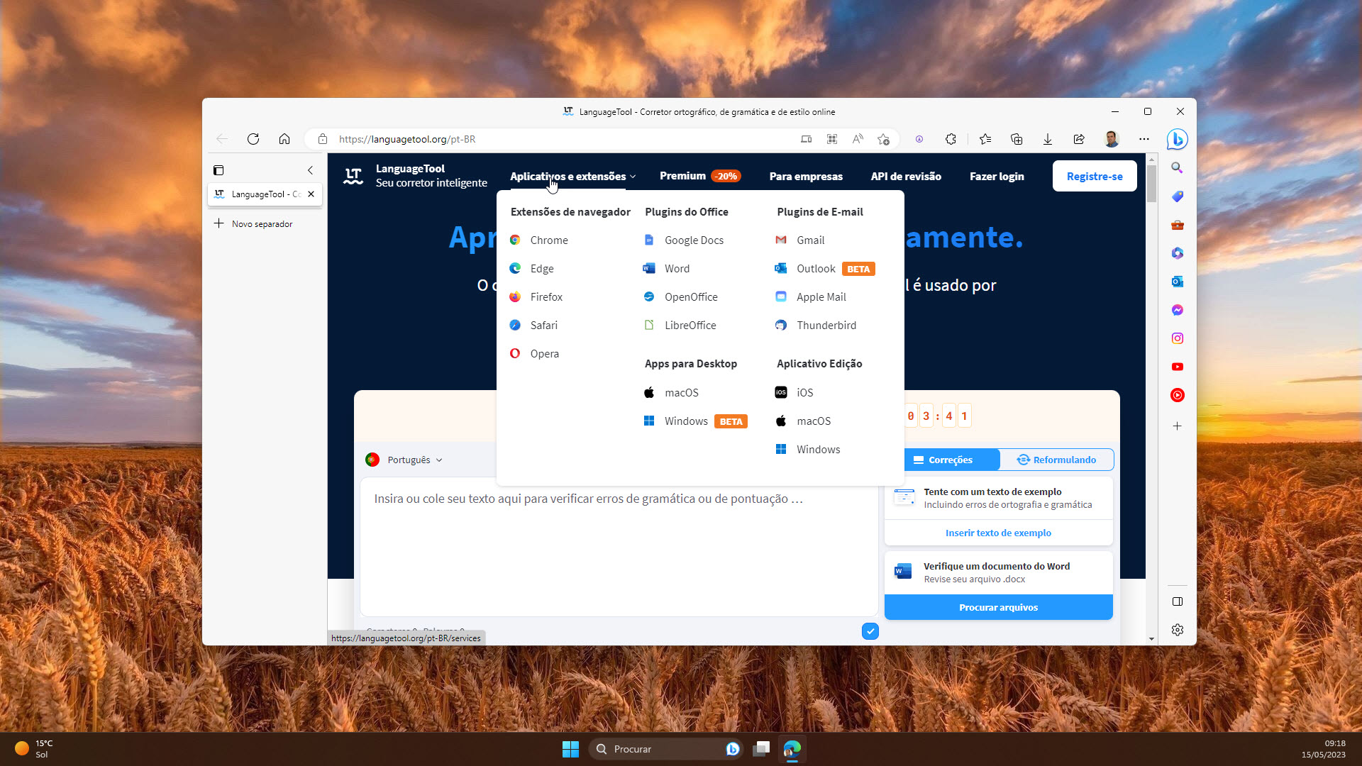 LanguageTool 2023-05-15_09-18-52